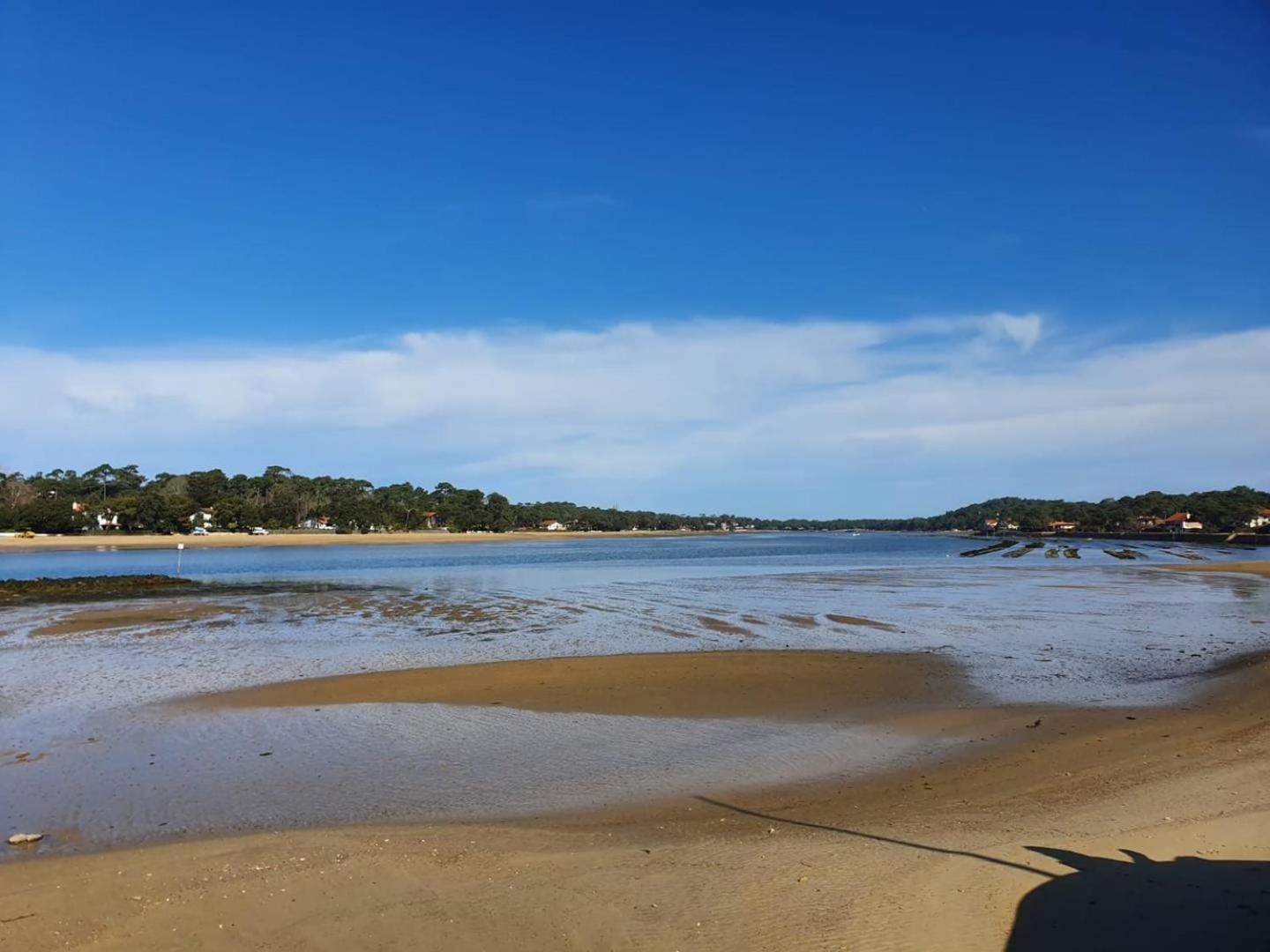 Haut Saint Georges - Un Emplacement Exceptionnel Au Centre-Ville Et Au Calme A Quelques Pas Du Lac Marin Soorts-Hossegor Exterior foto